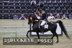 25BUCKEYE_09543 thumbnail