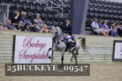 25BUCKEYE_09547 thumbnail
