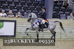25BUCKEYE_09550 thumbnail