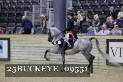 25BUCKEYE_09551 thumbnail