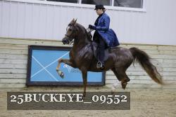 25BUCKEYE_09552 thumbnail