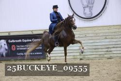 25BUCKEYE_09555 thumbnail
