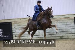 25BUCKEYE_09556 thumbnail