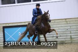 25BUCKEYE_09557 thumbnail