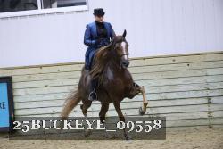 25BUCKEYE_09558 thumbnail