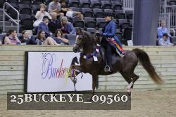 25BUCKEYE_09560 thumbnail