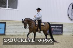 25BUCKEYE_09563 thumbnail
