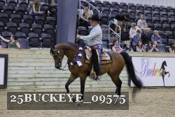 25BUCKEYE_09575 thumbnail