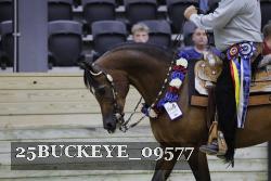 25BUCKEYE_09577 thumbnail