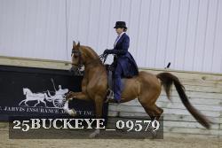 25BUCKEYE_09579 thumbnail
