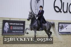 25BUCKEYE_09580 thumbnail