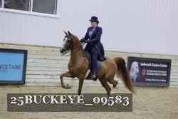 25BUCKEYE_09583 thumbnail