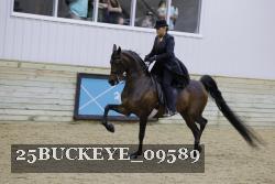 25BUCKEYE_09589 thumbnail