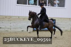25BUCKEYE_09591 thumbnail