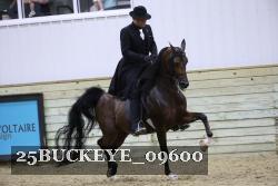 25BUCKEYE_09600 thumbnail