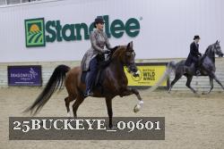 25BUCKEYE_09601 thumbnail