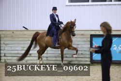 25BUCKEYE_09602 thumbnail