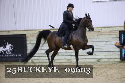 25BUCKEYE_09603 thumbnail