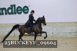 25BUCKEYE_09604 thumbnail