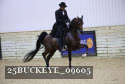 25BUCKEYE_09605 thumbnail