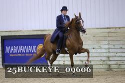 25BUCKEYE_09606 thumbnail