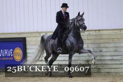 25BUCKEYE_09607 thumbnail