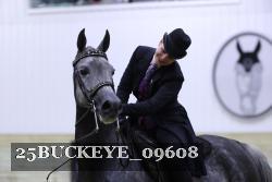 25BUCKEYE_09608 thumbnail
