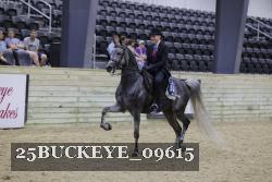 25BUCKEYE_09615 thumbnail