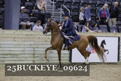 25BUCKEYE_09624 thumbnail