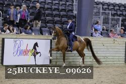25BUCKEYE_09626 thumbnail