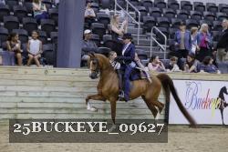 25BUCKEYE_09627 thumbnail