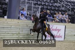 25BUCKEYE_09628 thumbnail