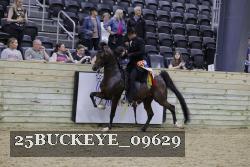 25BUCKEYE_09629 thumbnail