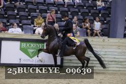 25BUCKEYE_09630 thumbnail