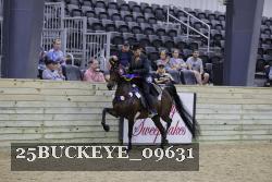 25BUCKEYE_09631 thumbnail