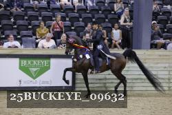 25BUCKEYE_09632 thumbnail