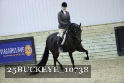 25BUCKEYE_10738 thumbnail