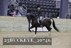 25BUCKEYE_10746 thumbnail
