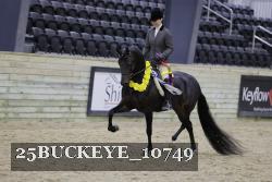 25BUCKEYE_10749 thumbnail