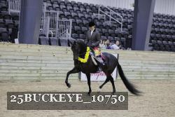 25BUCKEYE_10750 thumbnail