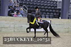 25BUCKEYE_10751 thumbnail