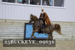 25BUCKEYE_09636 thumbnail