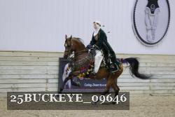 25BUCKEYE_09646 thumbnail