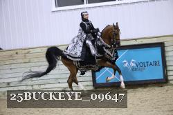 25BUCKEYE_09647 thumbnail