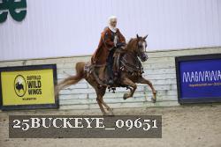25BUCKEYE_09651 thumbnail