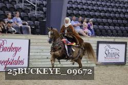 25BUCKEYE_09672 thumbnail