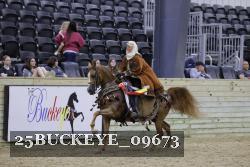 25BUCKEYE_09673 thumbnail