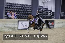 25BUCKEYE_09676 thumbnail