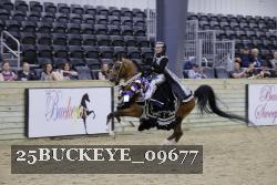 25BUCKEYE_09677 thumbnail