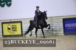 25BUCKEYE_09681 thumbnail